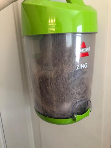 BISSELL Zing Lightweight, Bagged Canister Vacuum, Purple, 2154A photo review