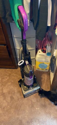 BISSELL CleanView Compact Turbo Upright Vacuum with Quick Release Wand, Full Size Power, Compact Size for Apartments & Dorms, 3437F photo review