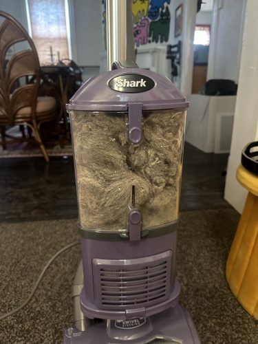 Shark NV360 Navigator Lift-Away Deluxe Upright Vacuum with Large Dust Cup Capacity, HEPA Filter, Swivel Steering, Upholstery Tool & Crevice Tool, Blue photo review