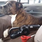 PIVOT VAC Cordless Handheld Vacuum For Home & Car photo review